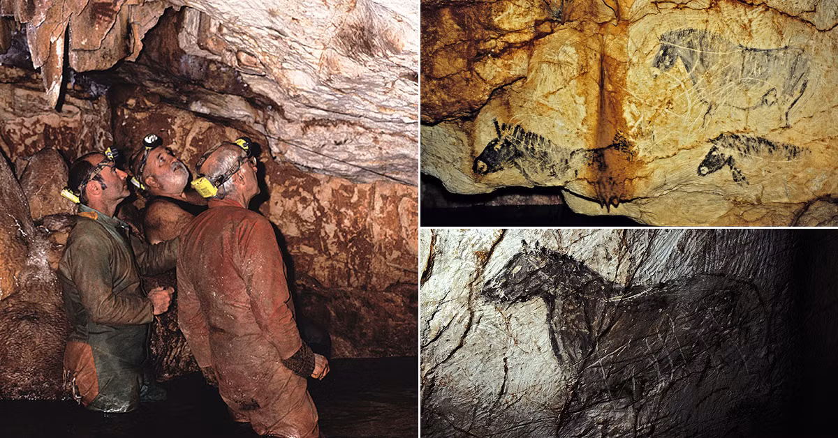 Nhiều bức tranh trong hang động Cosquer mô tả môi trường dưới đại dương mà giới khảo cổ chưa từng phát hiện từ trước đến nay.