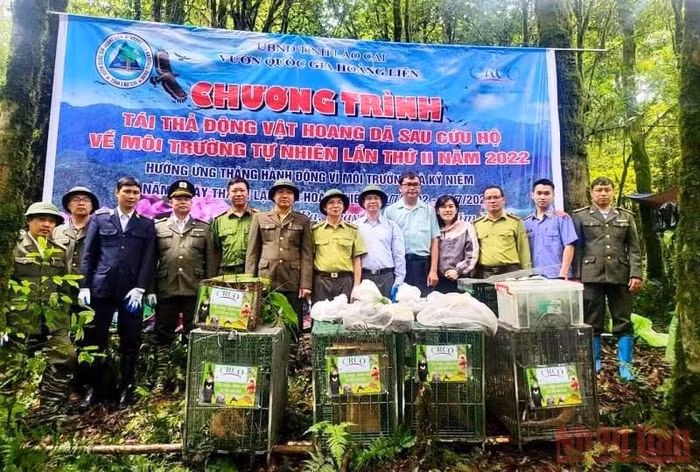 Vào sáng 23/6, Trung tâm Cứu hộ và bảo tồn phát triển thực vật Hoàng Liên, thuộc Vườn quốc gia Hoàng Liên (Lào Cai) tiến hành thả 20 cá thể động vật hoang dã về rừng Hoàng Liên, ở thị xã Sa Pa.