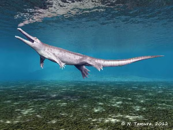 Khủng long thường không thể đánh bại những đòn tấn công chí mạng của Sarcosuchus nên thường trở thành con mồi hấp dẫn của loài thủy quái này.