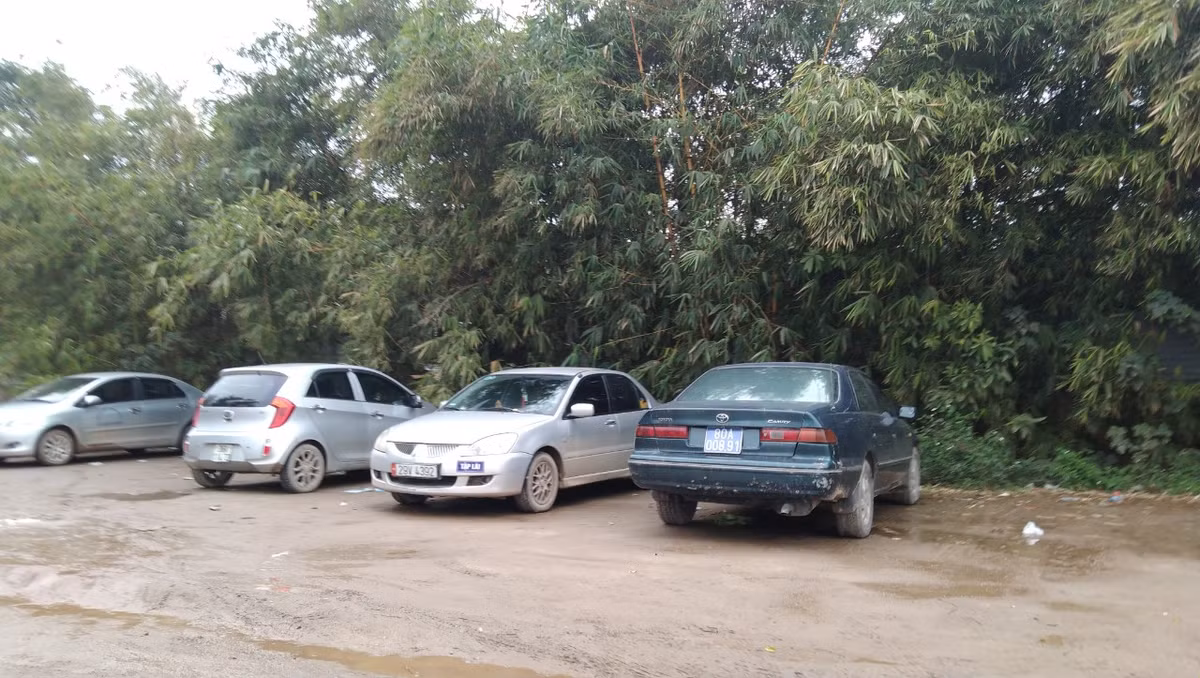 Các xe tập lái tại bãi tập xe không phép.