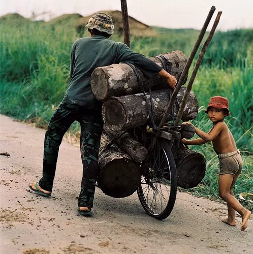 Em bé phụ cha đẩy xe chở gỗ.