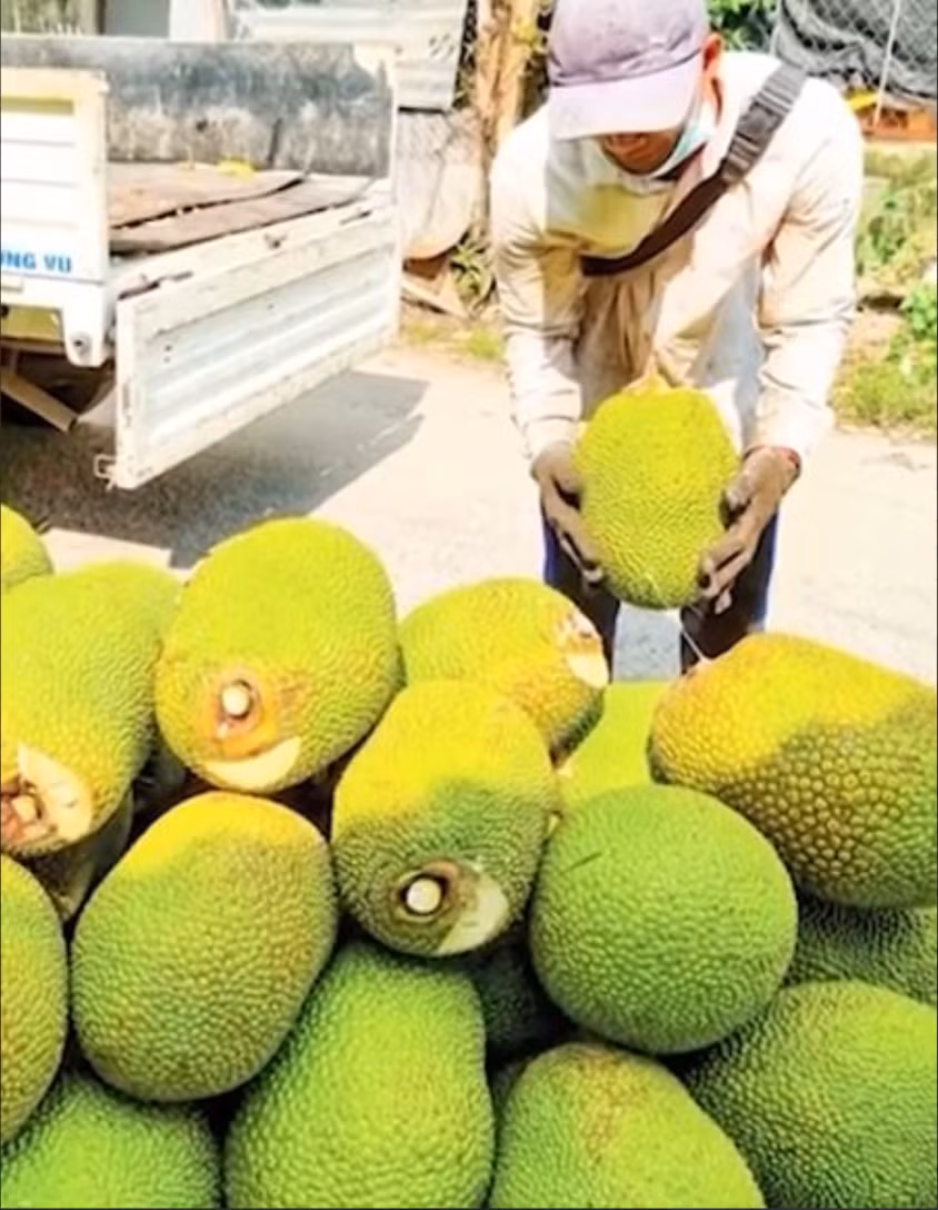Mới đây, một nam thanh niên chia sẻ mua được quả mít được người bán hàng luôn miệng quảng cáo: không hạt, bao ngon, bao ngọt...và cái kết khiến netizen dở khóc dở cười.