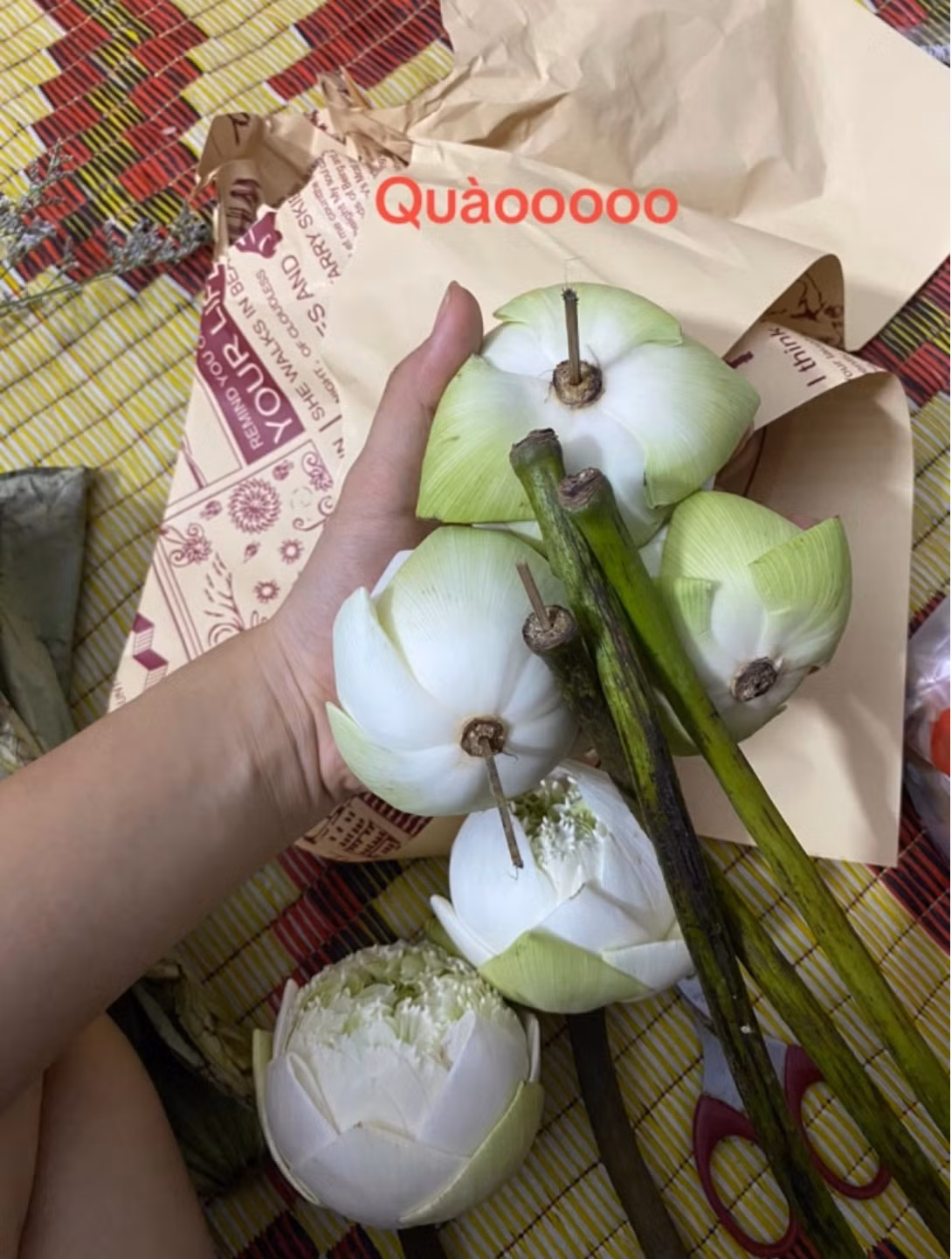 Sau khi về nhà và mang hoa ra cắm, cô gái mới tá hỏa khi phát hiện những bông sen mà mình mua có những dấu hiệu bất thường.