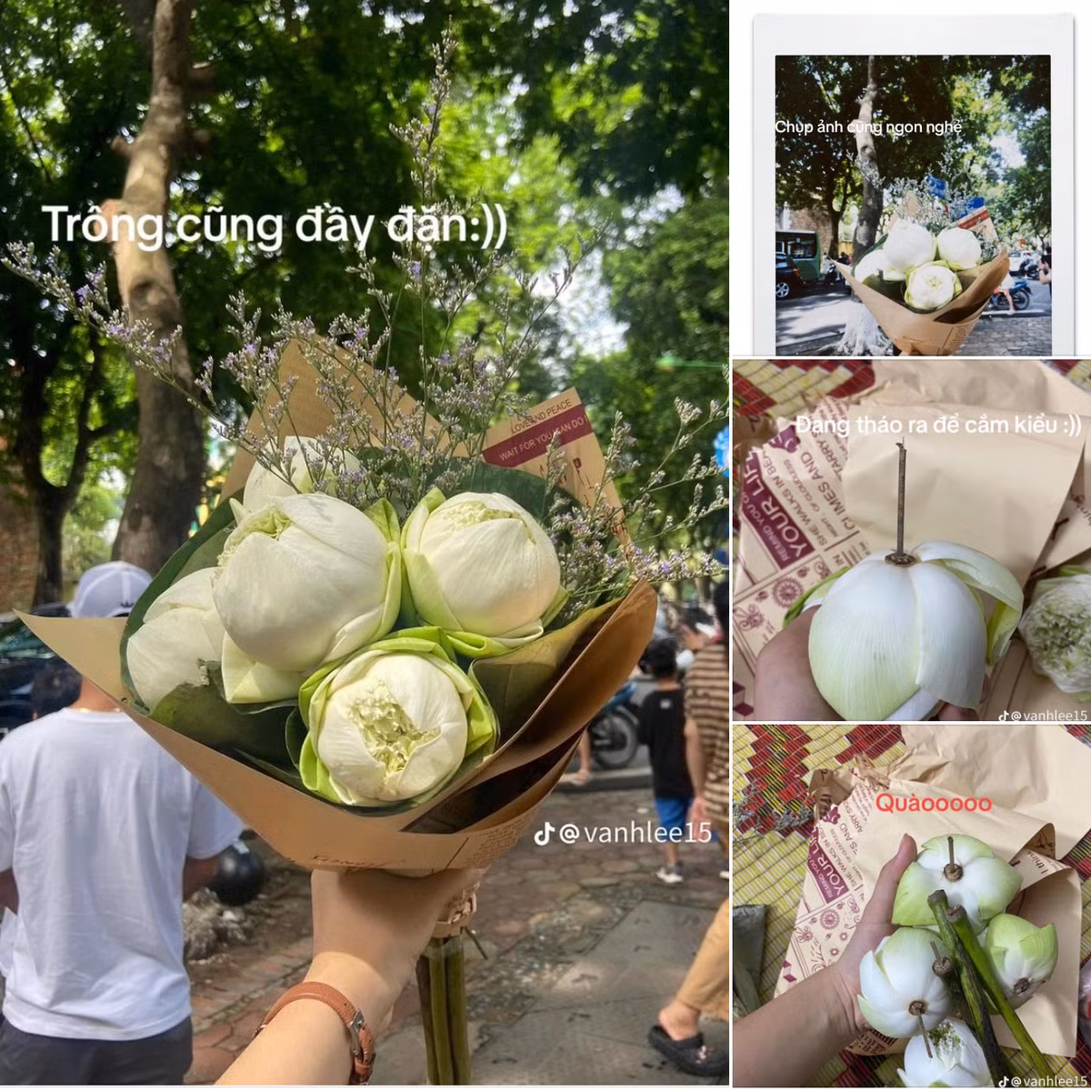 Tuy nhiên, mới đây một tài khoản TikTok có tên là @Vanhlee15 vừa chia sẻ câu chuyện với tựa đề "Kiếp nạn mua hoa ở đường Phan Đình Phùng" thu hút đông đảo chú ý từ cộng đồng mạng.