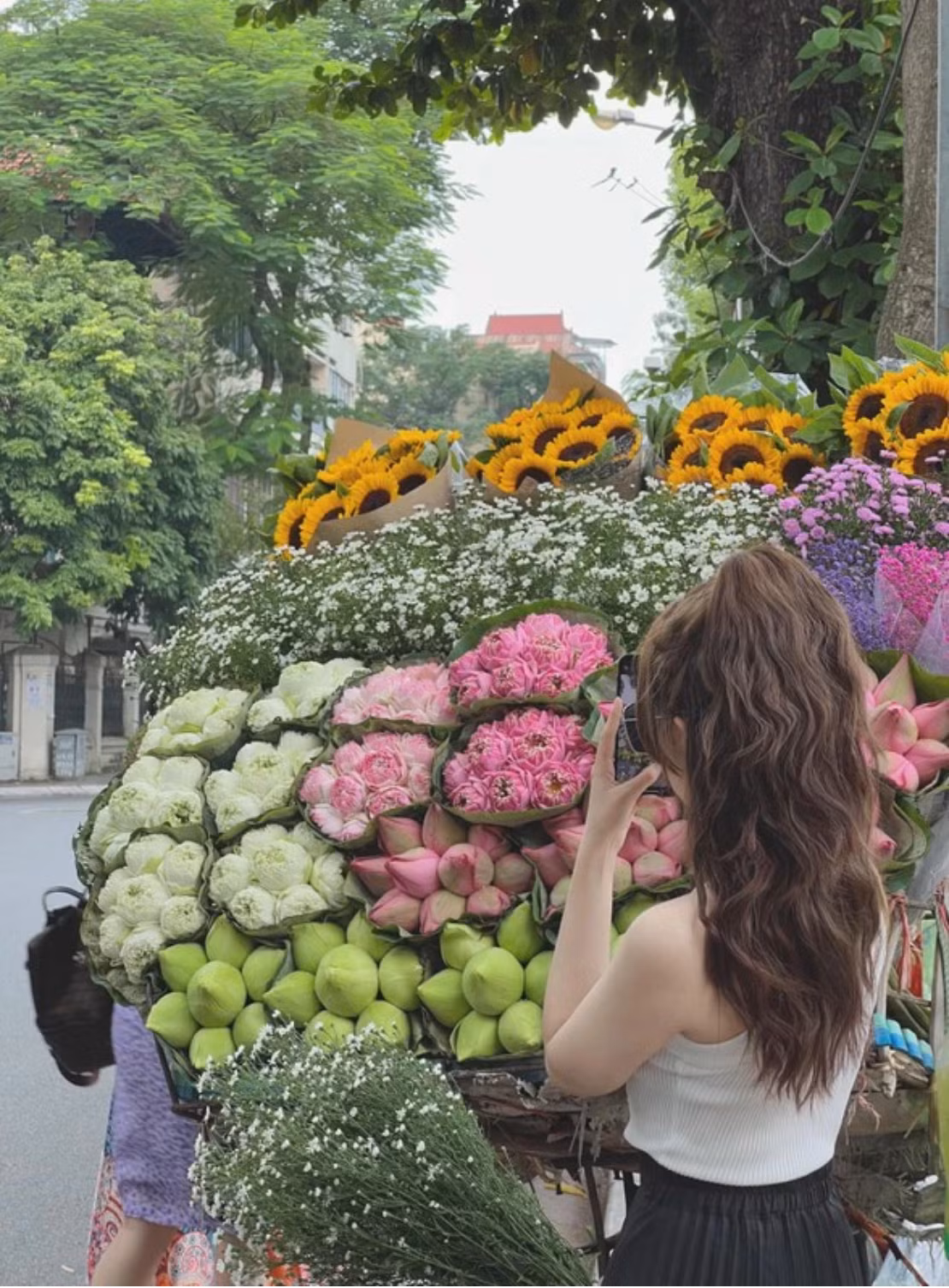 Mua hoa chup anh trend thu Ha Noi va kiep nan khong ngo toi