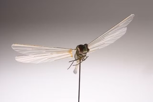 Được ghép từ "insect" - "côn trùng" và "tothopher" - "kẻ trộm", Insectothopher được xem là thiết bị bay không lái (UAV) đầu tiên trên thế giới. Với một chiếc camera ẩn, khả năng của thiết bị này được xem là vô cùng ấn tượng vào thời điểm nó được phát minh.