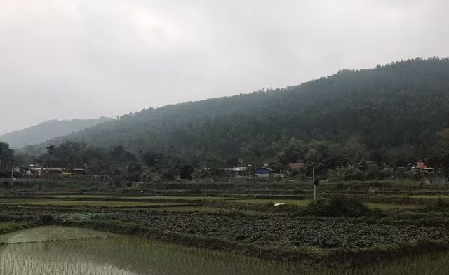 Pha rung phong ho xay “sieu nghia trang”: Vinh Phuc co phot lo nguoi dan?