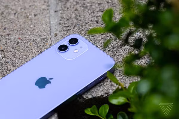 Năm nay chỉ iPhone 12 và 12 mini có màu tím. Đây không phải những model có sức tiêu thụ tốt. Việc giới thiệu thêm màu mới có thể mang lại cho Apple doanh thu tốt hơn trong thời điểm thị trường đang chững lại.
