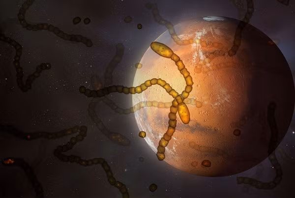 Curiosity đã thực hiện một số khám phá trong thời gian hoạt động trên Sao Hỏa, bao gồm cả việc phát hiện mức khí mêtan "cao bất thường".