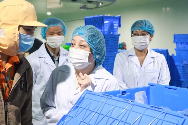TP HCM: Moi nam, hon 6100 co so vi pham an toan thuc pham