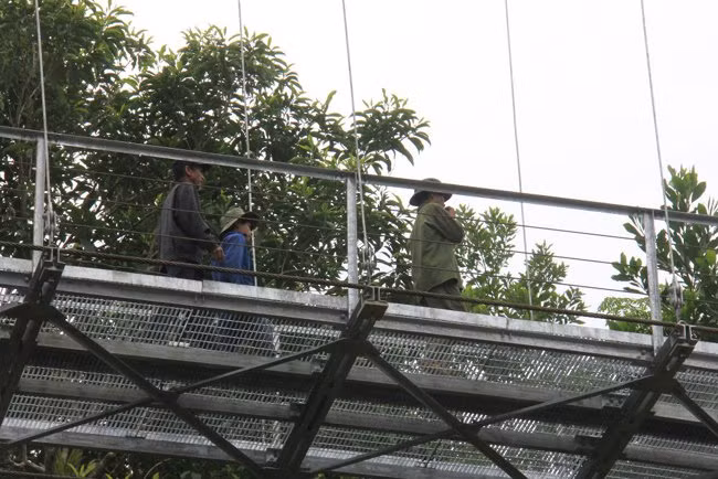 Người dân qua lại trên cầu mới.