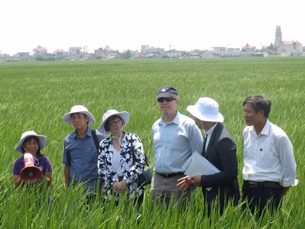 Đại sứ Ted Osius cùng bà Judy Garber xuống thăm cánh đồng lúa trồng theo mô hình "Canh tác lúa chất lượng cao, phát thải thấp"...