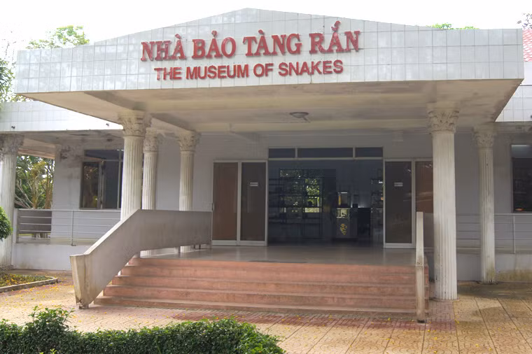 Trong khuôn viên Trại rắn Đồng Tâm ở tỉnh Tiền Giang có một bảo tàng độc nhất vô nhị của Việt Nam: Bảo tàng Rắn.