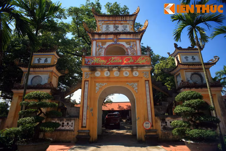 Cay gao co thu cong chua nha Tran trong 700 nam truoc