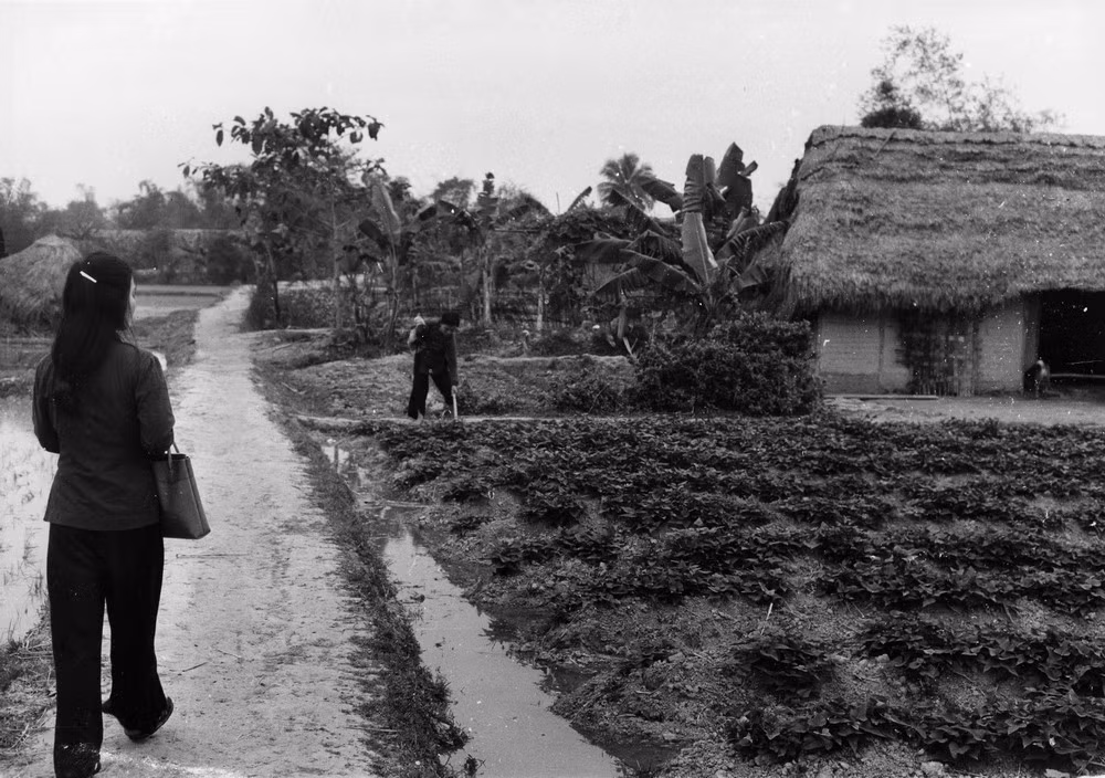 Một khoảnh khắc bình yên ở miền quê Bắc Bộ.