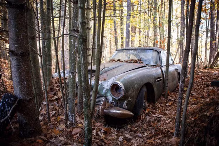 Mới đây, một chiếc Aston Martin DB4 đời 1960 vừa được phát hiện bị bỏ hoang trong rừng đến 40 năm. Đáng chú ý khi công tơ mét trên chiếc xe bị bỏ hoang này chỉ dừng ở con số 2.600 km cho thấy nó mới chỉ đi được một quãng đường rất ngắn trước đó.
