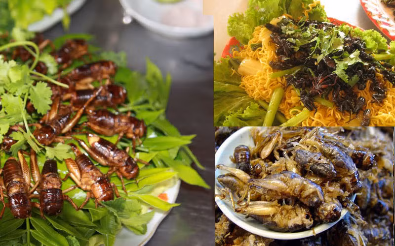 Dế thường được chiên kèm với lá chanh, sả ớt và một chút thịt ba chỉ thái nhỏ để tăng phần béo ngậy. Ảnh: Thế giới côn trùng