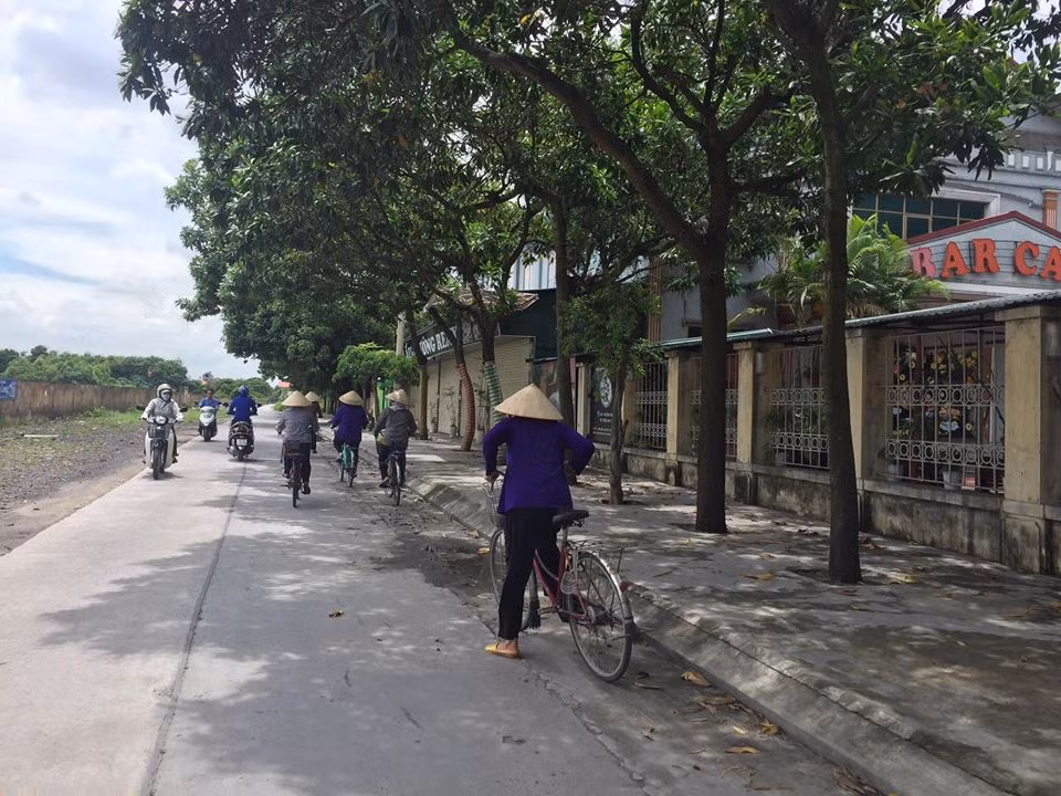 Bi mat cua nhung hoi thao "chui", ban hong sam Han Quoc gia "cat co"-Hinh-2