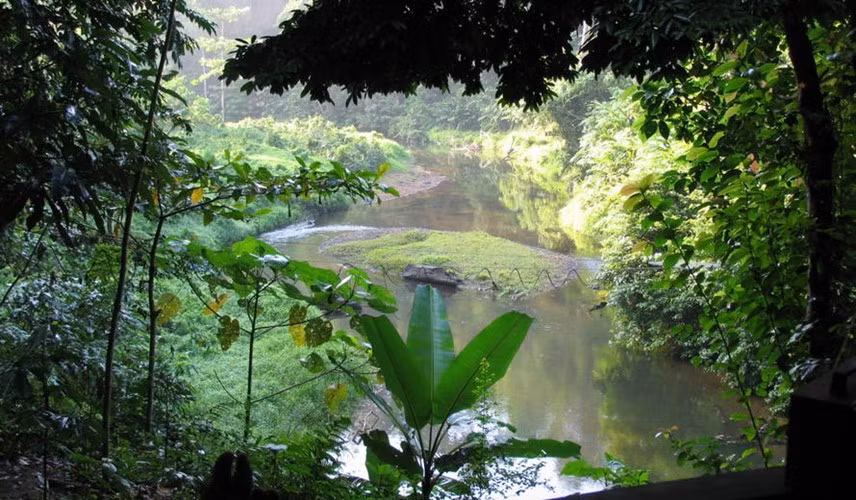  10. Di sản rừng mưa nhiệt đới đảo Sumatra, Indonesia: Bao gồm 3 công viên quốc gia với tổng diện tích hơn 2 triệu ha, đây là nơi có thảm thực vật, động vật rất đa dạng: 10.000 loài thực vật, 201 loài động vật có vú và hơn 550 loài chim. Cảnh quan thiên nhiên xinh đẹp với các hang động, thác nước, hồ băng và núi lửa. Ảnh: UNESCO.