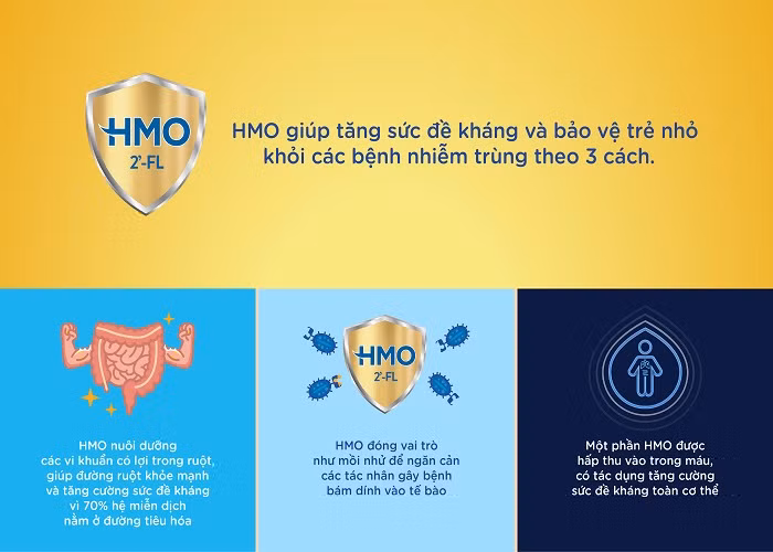 Tim hieu ve HMO – Duong chat vang tu sua me