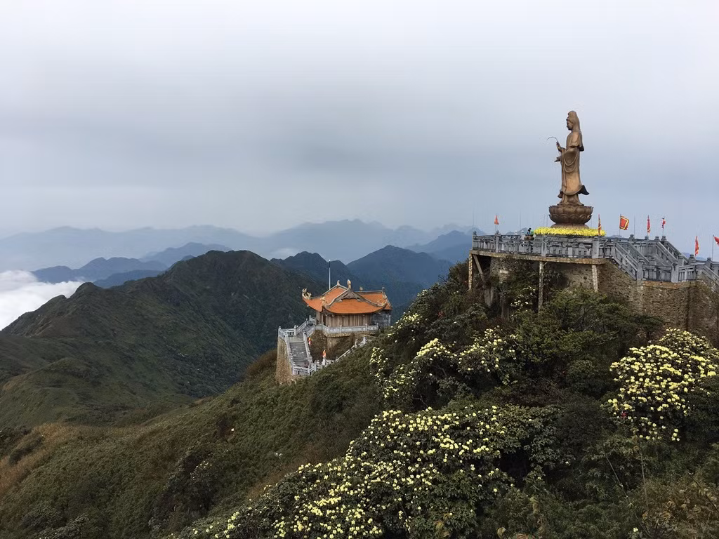 Rời khu vực ga đi, băng qua rừng Hoàng Liên trên cáp treo tới gần khu vực đỉnh, sẽ lại ngạc nhiên hơn nữa, khi thấy những vạt đỗ quyên vàng đổ dài theo triền núi như thác hoa nơi chân tượng Quan Thế Âm.
