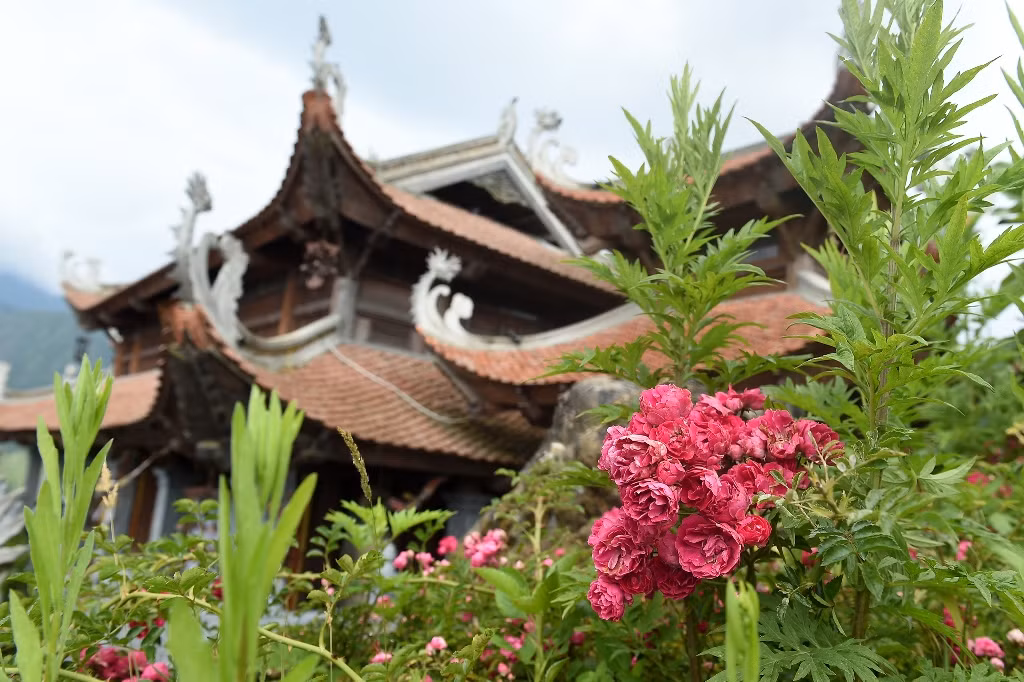 Ngắm những sắc vàng, đỏ của đỗ quyên trên đỉnh, ít ai nghĩ, chỉ mới tháng trước thôi, một đợt băng giá đã từng khiến nhiều loài cây trên đỉnh héo úa. Riêng chỉ có đỗ quyên là vững vàng, vẫn cứ trổ bông, nở rực. Lên chốn linh thiêng, ngắm hoa đua nở, có lẽ chỉ Fansipan mới đem đến nhiều trải nghiệm lạ lùng và thú vị đến thế. Đi nhé, để rồi chẳng muốn về đâu.