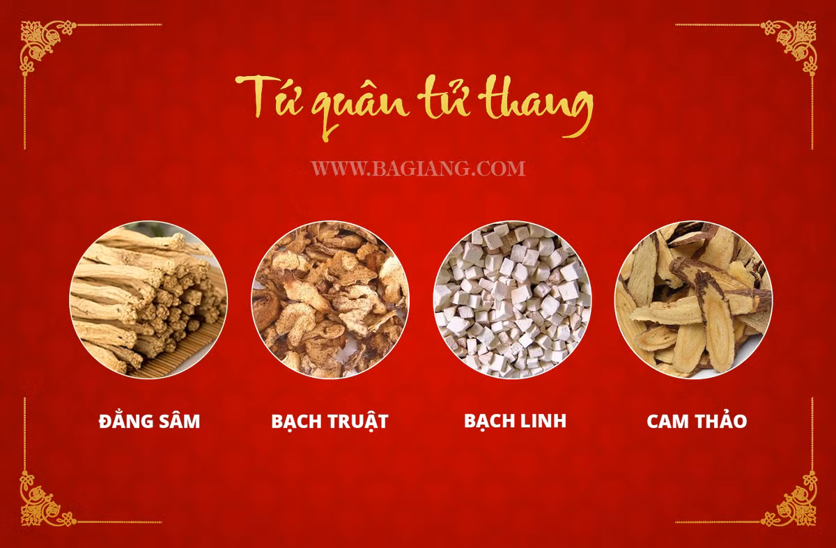 Hai bai thuoc quy chua benh tieu hoa trong Dai Trang Ba Giang-Hinh-2