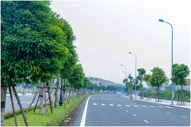 Tuyến đường nội khu rộng với hàng nghìn cây xanh được trồng mới.