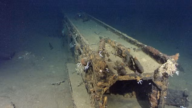 Musashi cùng với tàu chiến Yamato là chiến hạm lớn nhất và được trang bị vũ khí mạnh nhất thời điểm đó. Chiến hạm Musashi với hơn 1.000 thành viên thủy thủ đoàn bị Hải quân Mỹ đánh chìm năm 1944.