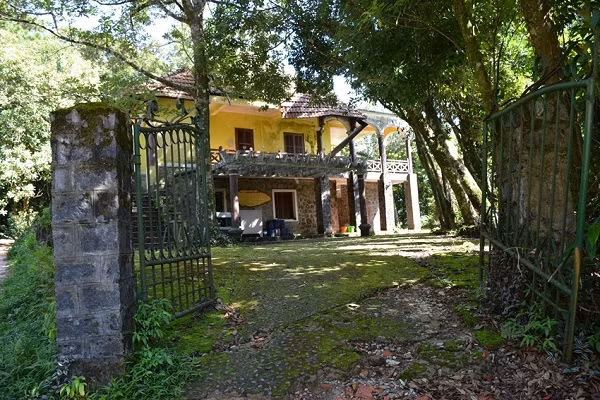 Dung de nhung dieu vun vat lam Bach Ma mat diem-Hinh-5