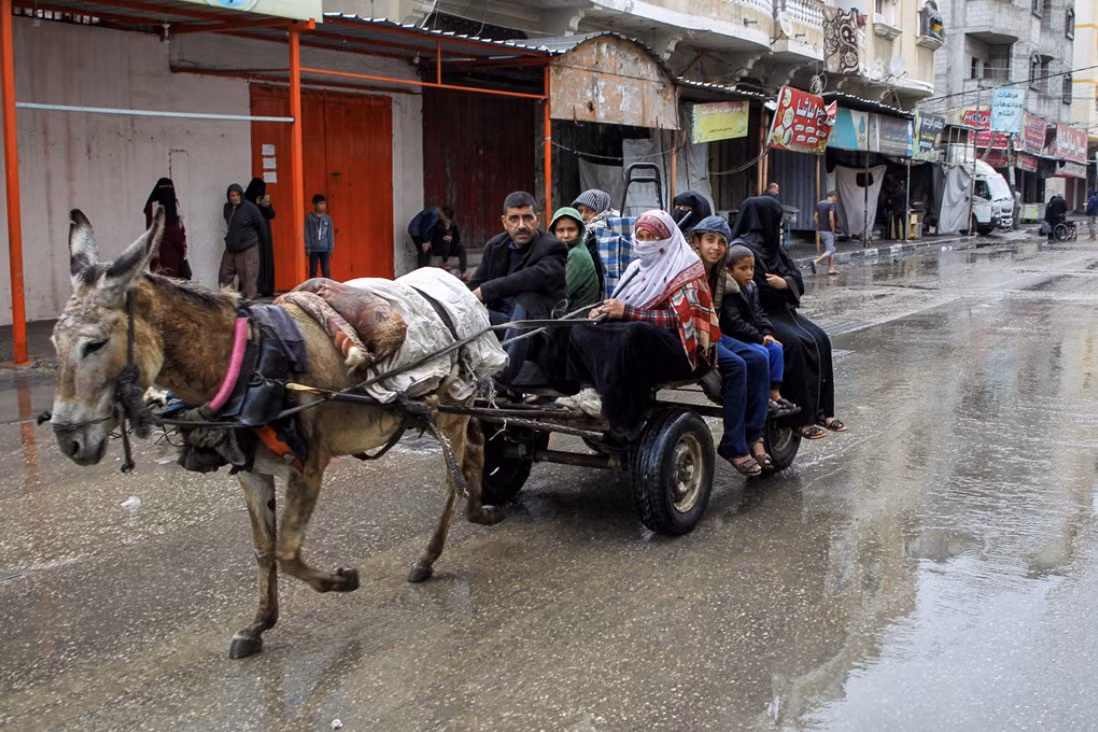 Canh nguoi dan Palestine un un so tan khoi thanh pho Rafah-Hinh-4