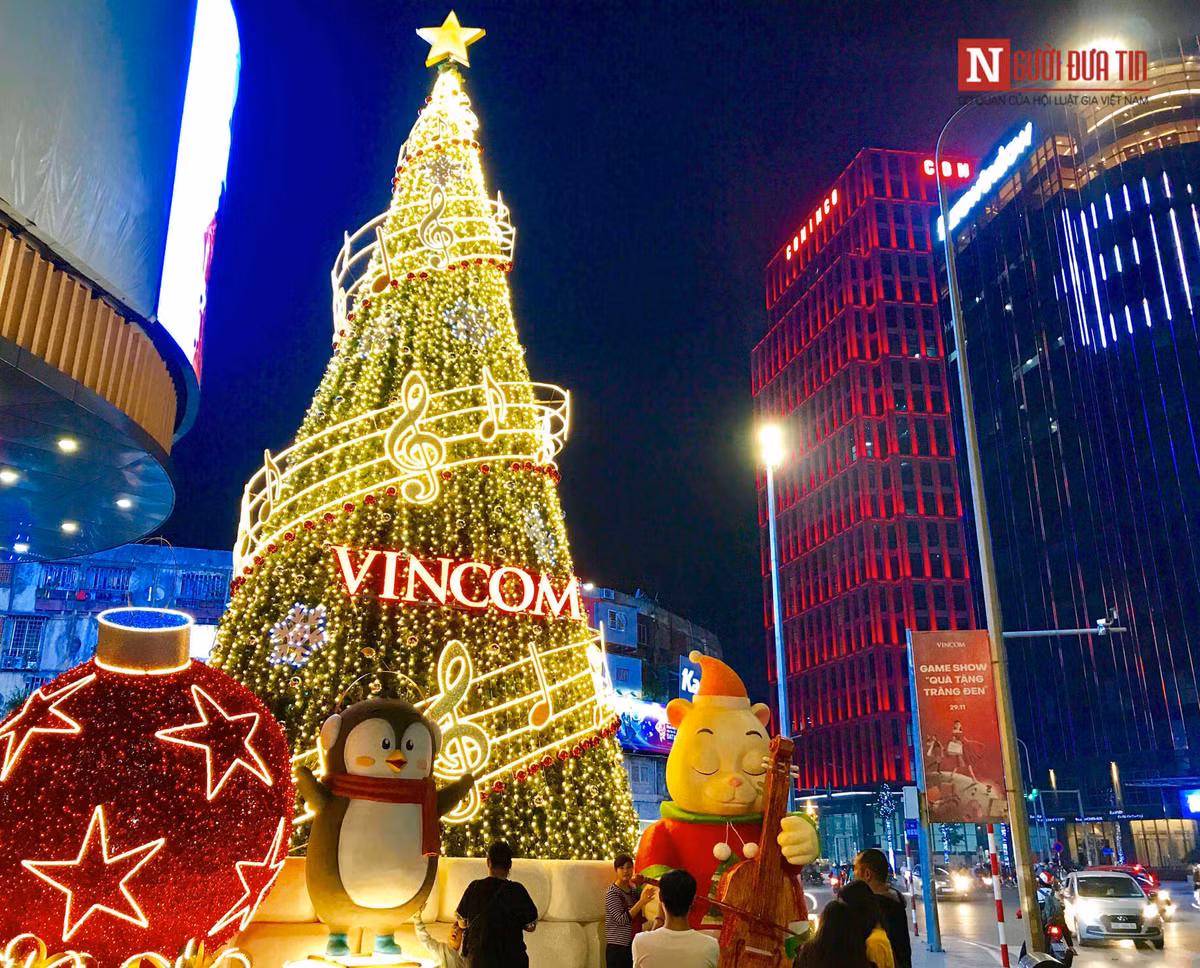 Khi những ánh đèn được được thắp lên cũng chính là lúc những cây thông Noel được khoác lên mình một tấm áo rực rỡ mừng Giáng sinh đang đến.