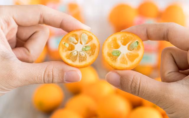 Sự thật rùng mình đặc sản bào ngư, vi cá bán đầy chợ mạng - Hình 8 Su that rung minh dac san bao ngu, vi ca ban day cho mang-Hinh-8