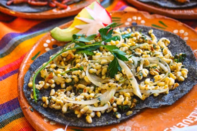 Sau khi ấu trùng và nhộng của kiến được thu hoạch, chúng được rửa sạch, đông lạnh và phân phối ra thị trường quanh năm dù vụ thu hoạch kiến kéo dài trong thời gian ngắn.