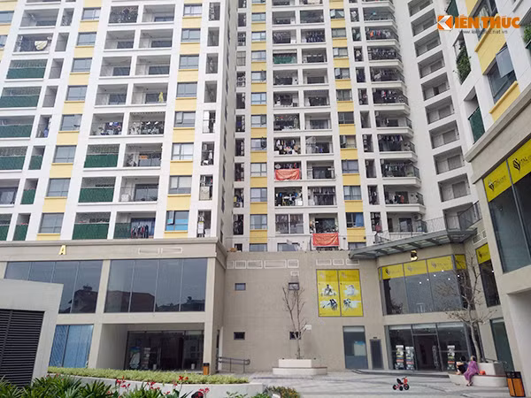 Chung cu T&T Riverview bit loi thoat hiem: Cu dan to hang loat loi “khung“