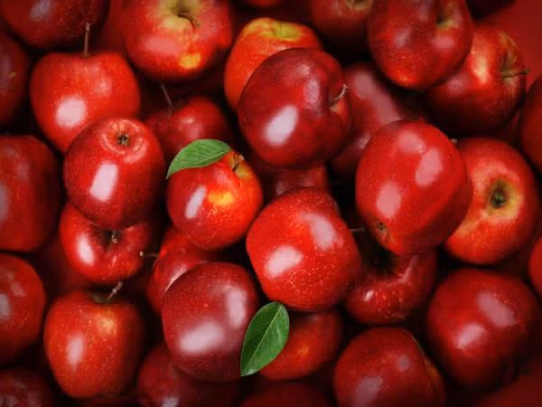 Táo: Táo chứa polyphenol, một chất chống oxy hóa có nguồn gốc từ thực vật giúp chống ung thư, ngăn ngừa bệnh tim mạch và một số bệnh nhiễm trùng khác. Trong các nghiên cứu cho thấy, ăn táo mỗi ngày còn giúp giảm nguy cơ ung thư phổi và ung thư vú ở phụ nữ. 