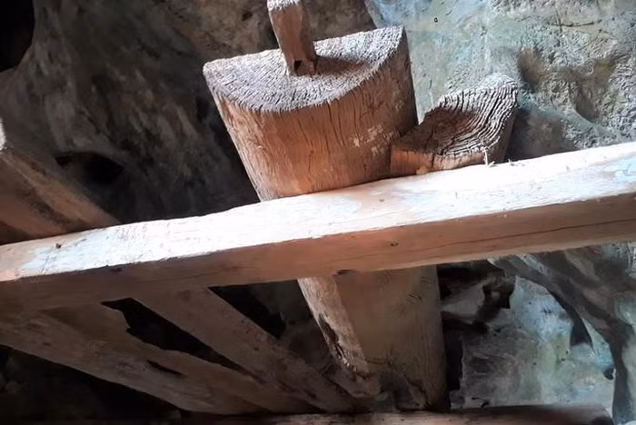 Ron nguoi hang quan tai ky bi 