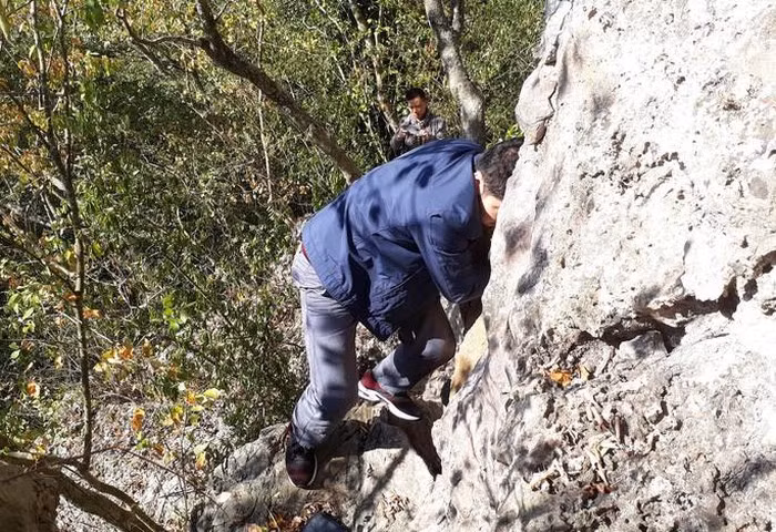 Ron nguoi hang quan tai ky bi 