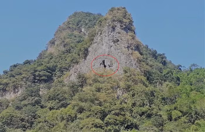 Ron nguoi hang quan tai ky bi 