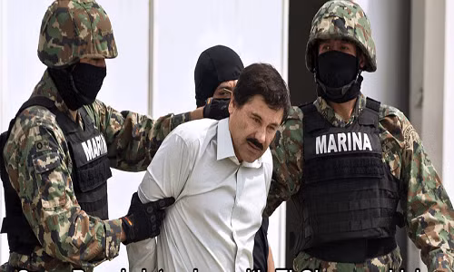 Nhung dieu it biet ve trum ma tuy Mexico Joaquin Guzman
