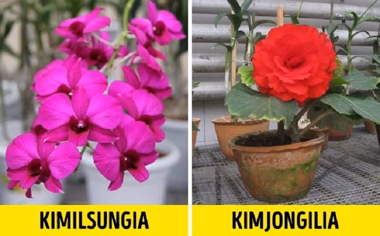 Su that kinh ngac gio moi ke ve dat nuoc Trieu Tien