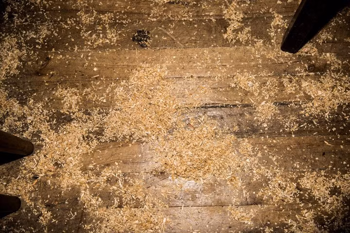 Một điểm đặc biệt khác của quán bar này là rải mùn cưa trên sàn nhà. Điều này được cho là để giúp hấp thụ bia nếu khách làm đổ.