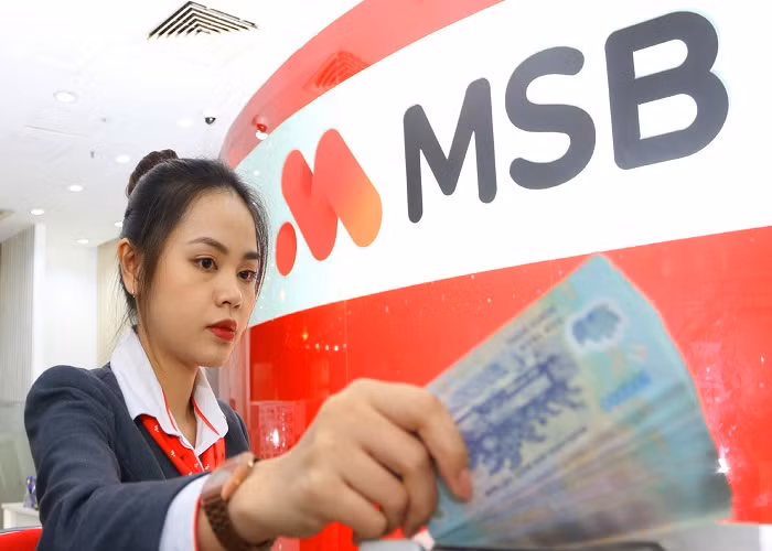 MSB cong bo bao cao TCKT nam 2019, cac chi tieu quan trong tang truong tot-Hinh-2