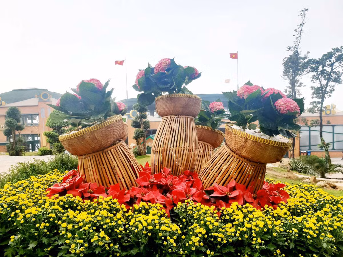 Hanh huong xuyen Viet dung bo qua Tay Ninh-Hinh-5