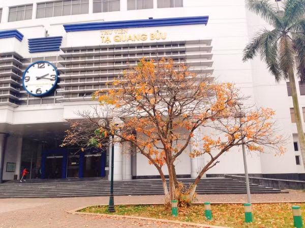 Vừa mới nghỉ Tết từ quê lên, các bạn học sinh đã ráo nhau kéo đến ngôi trường này để 'sống ảo' cùng với thảm lá vàng khô thơ mộng.