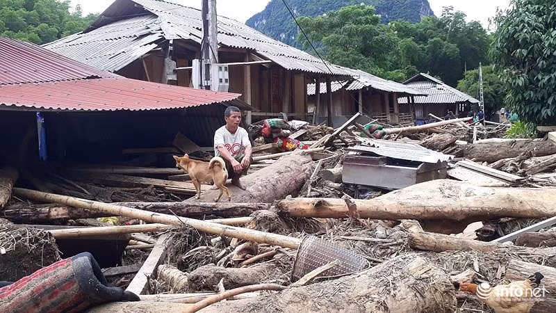 Sau lu, ban Sa Na o Thanh Hoa trong nhu ngay tan the-Hinh-7