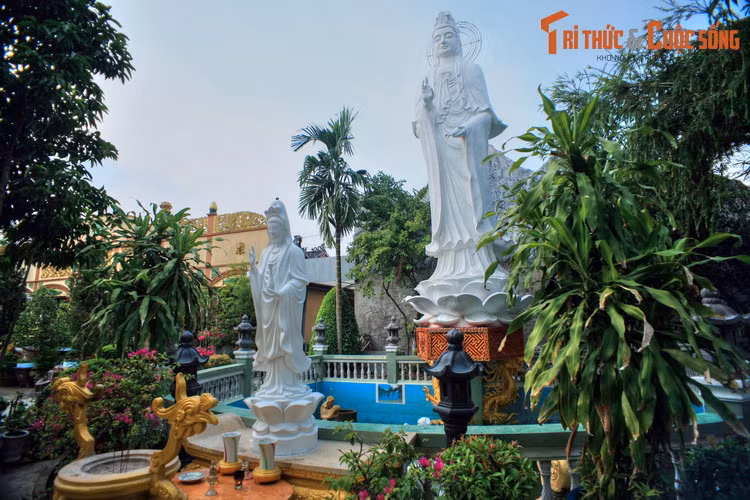 Trên phương diện Phật học, chùa Bửu Lâm theo Phật giáo Đại thừa thuộc dòng Lâm tế Chánh Tông, và là một trong các tổ đình của phái Phật giáo nổi tiếng này ở Việt Nam.