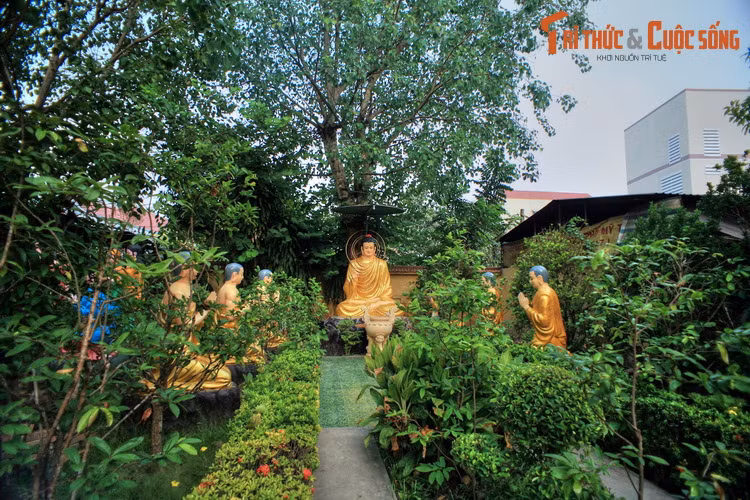 Khuôn viên Bửu Lâm rộng rãi, nhiều cây cảnh đẹp, cây ăn quả được chăm sóc tốt, bài trí nhiều cụm tượng tái hiện các điển tích Phật giáo nên du khách đến chùa thường dành thời gian tham quan quang cảnh trong chùa.