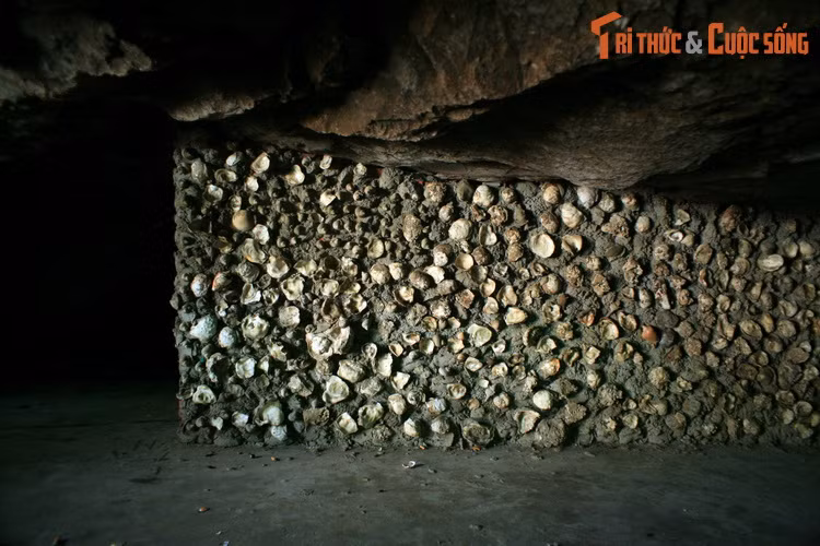 Hang động này được tạo thành từ núi đá vôi bị nước biển xâm thực trong hàng vạn năm. Căn cứ vào lượng vỏ sò hến thu được, người ta phỏng đoán vào thời xa xưa núi Hải Sơn từng nằm dưới mực nước biển. Sau này, vỏ sò ốc được dùng làm vật liệu xây dựng một số công trình của chùa Hang.