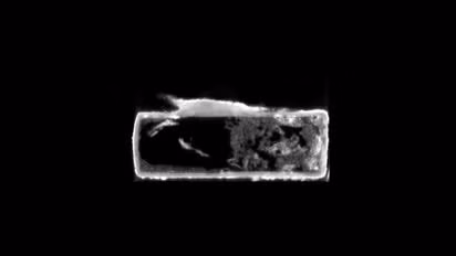 Ở một quan tài, ảnh scan cho thấy phần hộp sọ nguyên vẹn hoàn toàn của loài thằn lằn tương tự họ thằn lằn sống ở Bắc Phi ngày nay. Hai quan tài khác chứa mảnh vỡ xương động vật quấn vải lanh.